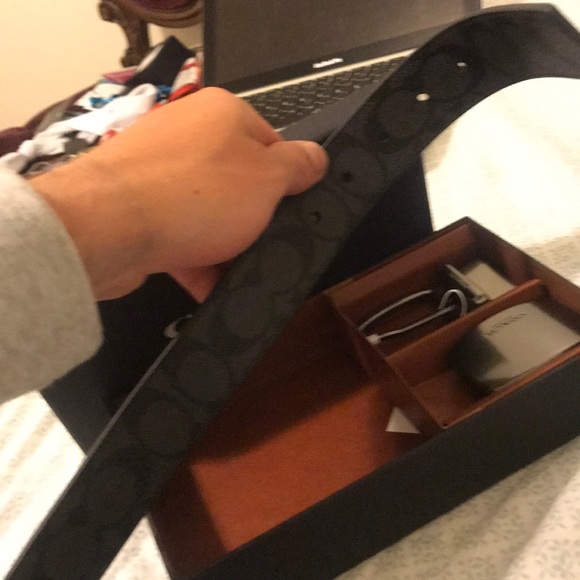 Coach belt main image 4
